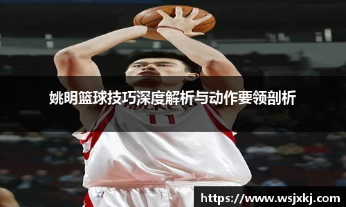姚明篮球技巧深度解析与动作要领剖析