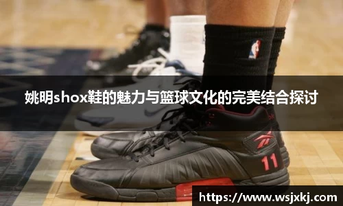姚明shox鞋的魅力与篮球文化的完美结合探讨