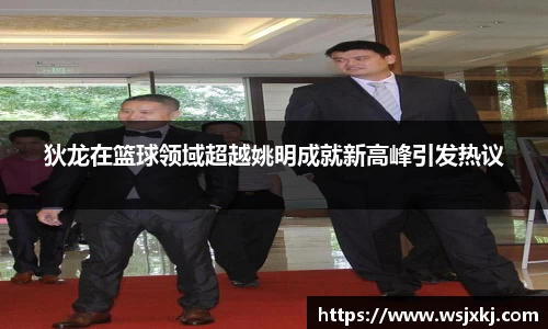 狄龙在篮球领域超越姚明成就新高峰引发热议