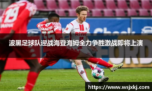 波黑足球队迎战海登海姆全力争胜激战即将上演